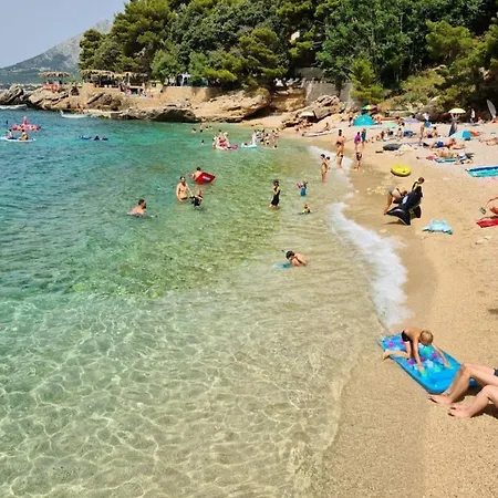 Larisa * 오레비츠