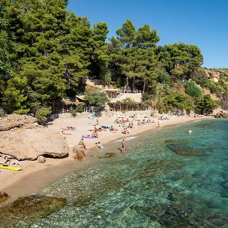 Larisa * 오레비츠