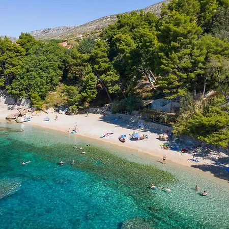 Larisa * 오레비츠