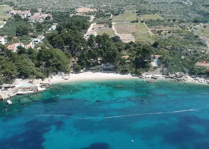 Larisa 캠프장 오레비츠