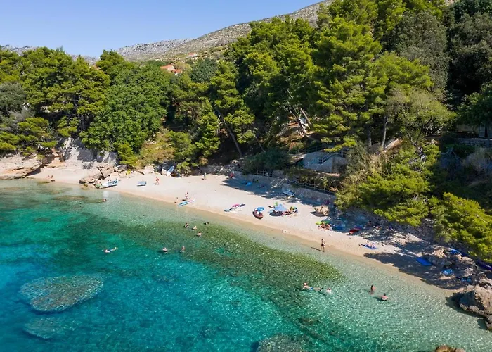 Larisa * 오레비츠